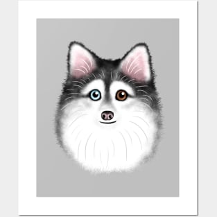 Grey and White Pomsky Posters and Art